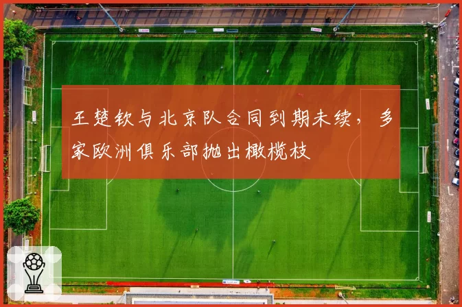 王楚钦与北京队合同到期未续，多家欧洲俱乐部抛出橄榄枝
