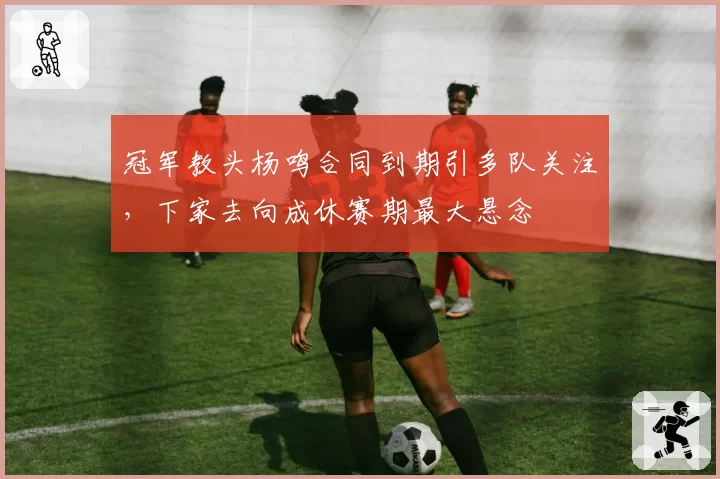 冠军教头杨鸣合同到期引多队关注,下家去向成休赛期最大悬念