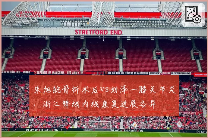 朱旭航骨折术后vs刘泽一膝关节炎，浙江锋线内线康复进展各异
