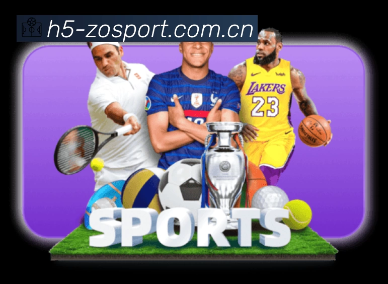 中欧体育赛事入口体系与导航结构